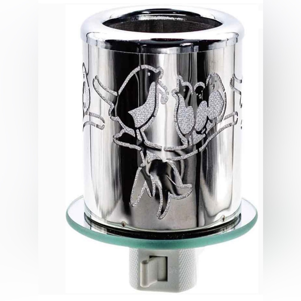 Momma & baby 🐦‍⬛birds night light💡